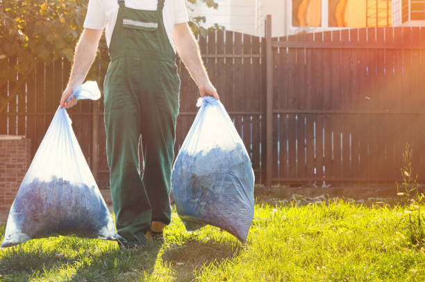 Best Office Junk Removal  in Chisholm, MN